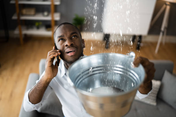 Best Mold removal after water damage  in Purcell, OK