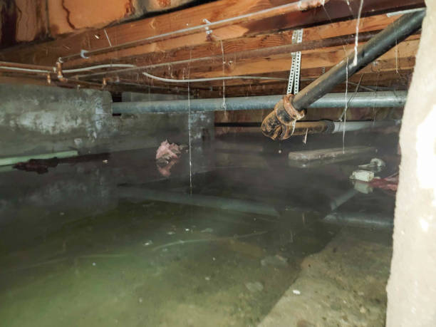 Best Local water damage restoration  in Purcell, OK