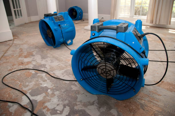 Best Water damage restoration cost  in Purcell, OK