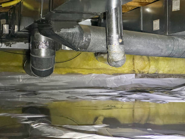 Best Professional water damage repair  in Purcell, OK