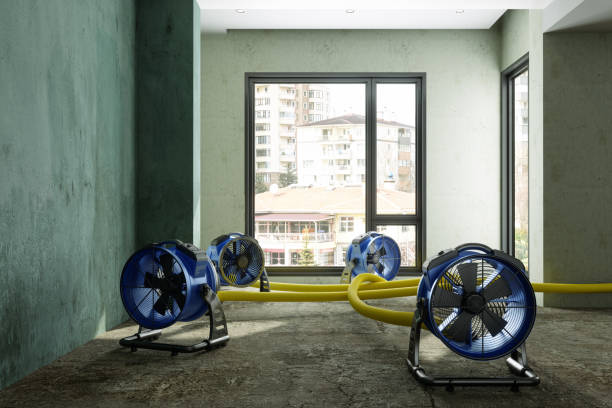 Best 24/7 water damage repair  in Purcell, OK